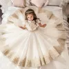 Girl Dresses Floor Length Lace Appliqued Tulle Short Sleeves Flower Girls Dress Performance Dance Gown