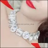 Chokers Luxurious Fl Crystal Fashion Woman Neck Chain Necklaces Shining Trendy Clavicle Charm Zircon Jewellery Wedding Party1 734 Q2 Dhpxu