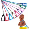 Hund Harness Leases Nylon Tryckt justerbar husdjurshundkrage valp kattdjur tillbehör husdjur halsband rep slips krage eea552