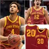 James Basketball Iowa State Cyclones Basketball Jersey Custom Stitched Tre King Eli King Caleb Grill Tamin Lipsey Demarion Watson Aljaz Kunc Robert Jones