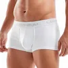 Underpants Men's Underwear Boxers Cotton Breathable U Convex Pouch Panties Bikini Lingerie