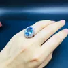 Cluster Rings 925 Sterling Silver Blue Topaz Ring Fashion Gift for Women Jewelry Rose Fine J101401AGB