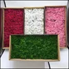 Flores decorativas grinaldas de rena Moss Moss Artificial Craft Planter for Wall Decoration Fairy Gardens Presente Pacoting Potted Potmgs