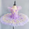 Salia de balé de desgaste de palco Purple Professional Tutu Mulheres Loetaard para crianças adultos adultos cisan lago trajes bailarina vestido menina