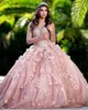 2023 robe de bal robes de Quinceanera robes de mariée rose fard à joues paillettes scintillantes or rose perles de cristal illusion corset dos manches longues robe douce 16 avec des fleurs