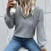 Kadın Sweaters Kazak Sweater Boş Zaman Uzun Kollu Kapşonlu Sonbahar Kış Gri Jumper Blusa de Frio Feminina Sueter Kore Moda