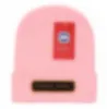 Beanies Hat for Woman Men Knitted Cap Brand Stick Unisex goose Solid Warmer Bonnet Ladies Skullcap