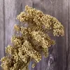 Decoratieve Bloemen 50g Natuurlijke Gedroogde Verse Geconserveerde Gierst Bloem DIY Materiaal Kaars Hars Eeuwig Droog Thuis Bruiloft Boho Decor