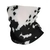 Bandanas Black Spotty Cowhide Animal Pattern Bandana Neck Gaiter för vandring Cykling Wrap Scarf Päls dölja hudläder Balaclava varmare