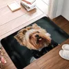 Mattor Entré Dörrmatta golvmattor 40x60 cm hund rolig mops schnauzer kök vardagsrum mattan antislip matta för sovrum balkong tapis r230731