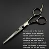 Sax Shears Professional 6 -tums hår sax tunnare barberare som skär hår sax saxverktyg frisör sax 230731