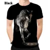 T-shirt da uomo 2023 Moda Uomo Donna T-shirt 3d Stampa Animale Cavallo Creativo Casual Taglie forti XS-5XL