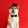 Chien vêtements mode animal de compagnie Graduation costume feutre chat chapeau Adorable collier lunettes ensemble tenues décoratives