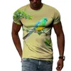 T-shirts pour hommes T-shirts pour hommes pour hommes Vêtements surdimensionnés Peacock Graphic Tee Shirt 3D Imprimé Summer Casual Short Sleeve Fashion Tops