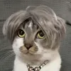 Vêtements pour chiens postiche pour animaux de compagnie moyen fendu gris couleur perruque courte mignon drôle réglable couvre-chef chat Cosplay accessoires de déguisement accessoires