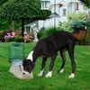 Abreuvoir automatique pour animaux de compagnie par gravité à distribution automatique 3,7 litres