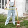 Collari per cani Mani libere 160 cm Corda regolabile per guinzaglio per gatti con cintura in vita per camminare Corsa Allenamento Accessori moda