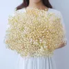 Dekorativa blommor 120G Natural Dried Baby's Breath Bouquet Wedding Home Decor Diy Garland Office Garden Party Decoration