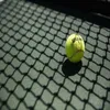 Tennis Balls Champ XD Duty Ball 4 Can Pack 12 230731