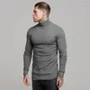 Männer Pullover Herbst Winter Mode Rollkragen Herren Dünne Casual Rollkragen Solide Pit Streifen Slim Fit Sport T-Shirt Männer Pullover