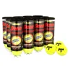 Badminton Sets Duty HighAltitude Palline da tennis 12 Lattine 36 230731