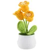 Decorative Flowers Statue Pot Potted Crochet Flower Adornment Delicate Model Bonsai Artificial Desktop Small Office