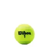 Tennis Balls Champ XD Duty Ball 4 Can Pack 12 230731