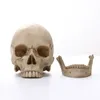 Decorative Objects Figurines 1 Human Head Skull Statue for Home Decor Resin Halloween Decoration Sculpture Teaching Sketch Model Crafts 230731