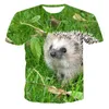 メンズTシャツ2023夏のTシャツ男性/女性3D印刷動物ハリネズミの短袖トップ