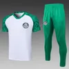 22 23 Palmeiras Training Suit Dudu Rony G.Veron Tank Top 23 24 Cruzeiro Training Suit Fred Robinho Neves Short Sleeve Shorts