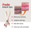 Lippenbalsem 5 Sets Verwijdering Zwarte Hydraterende Exfoliërende Gel Om Donkere Crème Gloss Base Reparatie Fijne Zorg 230801