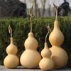 الزهور الزخرفية 10 سم 3pcs calabashcucucurbit المجفف الطبيعي لزخارف المنزل بالجملة