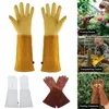 Печь Mitts SXL Deerskin Longtube Gloves GuestDuty Rose Trim Sperpress Work Work Work 230731