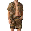 Tute da uomo Tiger Print Stripes Set da uomo Glam Black And Gold Set di camicie casual Pantaloncini da vacanza divertenti Design Suit 2 pezzi Abbigliamento Plus