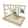 Andra fågelförsörjningar Budgies Cage Toy Ladder Stand Swing Papegoots Gym Bridge Climbing For Parakeets Cockatiel