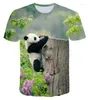 Camisetas masculinas de verão de manga curta para homens e mulheres R 3D realista roupas de panda chinês gola redonda linda camiseta personalizada grande