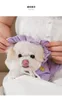 Odzież dla psów jesień i zima urocze koronkowe czapki psy cienkie swetry Pet Bichon Pomeranian Małe koty Teacup Teddy Ubrania