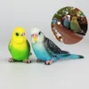 Oggetti decorativi Figurine Simulazione Pappagallo Paesaggio in miniatura Ornamento Parrocchetto Modello Prato Figurine Uccello artificiale Figure per la casa Decor 230731