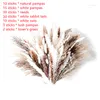 Kwiaty dekoracyjne suszone przed kwiatem Pampas Grass Flores Secas Naturals Decoracion Wedding Bouquet Bohemian Deco Boheme Mariage Home