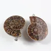 Pendentif Colliers 100-Unique 1 Pcs Argent Plaqué Forme Irrégulière Ammonite Reliquiae Bijoux Personnalisés