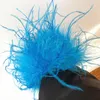 Bangle Ostrich Feather Arm Cuff Fashion Women Big Armband Hårtillbehör Luxury Hemmar 2023 Flickor Huvudbonader