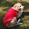 Dog Apparel 5XL RAIKAT DELLOCTION DOGS for Small Large Clarting Closet