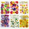 Flores decorativas misturadas de plantas para pintura de flores secas faça você mesmo marcador de livro frete grátis 5 sacos