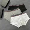 Underbyxor herrboxare underkläder bokstav tryck bomulls andning underbunden man boxare shorts högkvalitet män underkläder gåvor