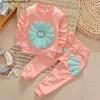 Neonate Completi di abbigliamento Primavera Autunno Fiori Tempo libero T-shirt a maniche lunghe Pantaloni Neonata Vestiti per bambini Abiti Bebes