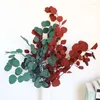 Fleurs décoratives 100g Feuilles d'eucalyptus naturelles conservées Bouquet de feuilles de pomme séchées pour la décoration de fête de mariage Décoration de chambre à coucher