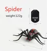 Electricrc Animals RC Spider Ant Infrared Remote Control Cackroach Toys Animal Trick skrämmande Mischief Kids Toys Funny Novelty Gift 230801