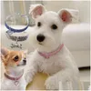 Halsbanden Riemen Strass Dierbenodigdheden Kat Halsband Kristal Puppy Chihuahua Ketting Voor Kleine Middelgrote Grote Honden Diamanten Sieraden Dhylx