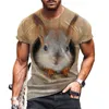 Herr tshirts Summer Squirrel Print Tshirt rund hals Löst kort ärm topp Wildlife Large Street Casual Fashion Dress Pullover 230802