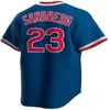 2023 Wrigleyville Dansby Swanson Camisa de beisebol Marcus Stroman Ernie Banks Seiya Suzuki Brad Boxberger Ian Happ Nico Hoerner Ryne Sandberg homens mulheres juventude